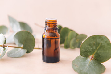 Bottle of eucalyptus essential oil on light background