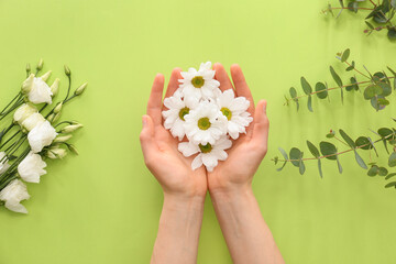 Female hands with flowers on color background