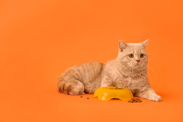 Cute cat and bowl with food on color background