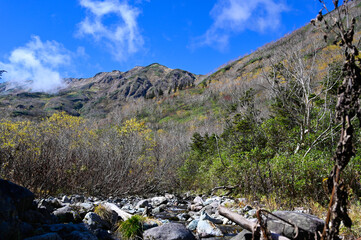 【長野県】栂池高原