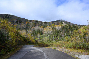 【長野県】栂池高原