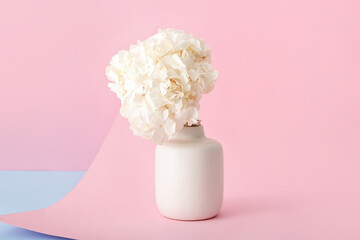 Vase with white hydrangea on color background