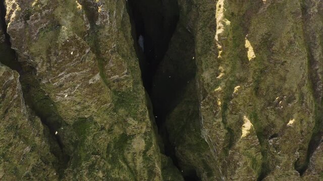 Mossy Rock Formation Of Rauofeldsgja Gorge At Hellnar Village In Snaefellsnes, Iceland. aerial