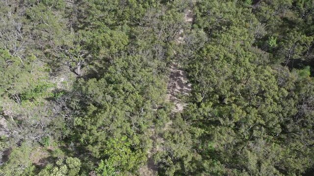 Aerial: Off-road truck drives sandy road through Scribbly gum forest
