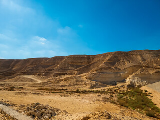 landscape of the desert