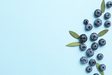 Composition with ripe blueberry on color background