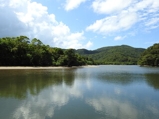 Fototapeta na wymiar 浦内川の風景
