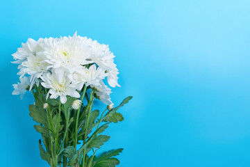 Bouquet of beautiful white chrysanthemum on a blue background, place for text