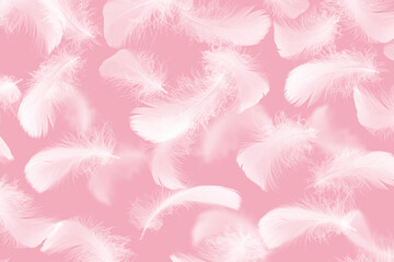 White Fluffly Feathers Texture Pattern on Pink Background.