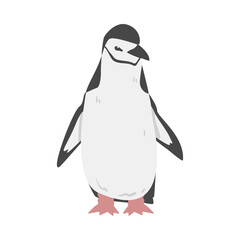 Chinstrap Penguin as Aquatic Flightless Bird with Flippers for Swimming in Standing Pose Vector Illustration