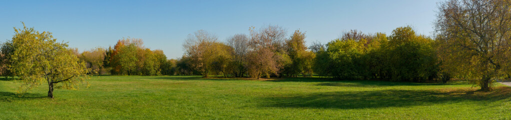 Naklejka premium Panoramic view of the green lawn and trees in a row. Museum reserve Kolomenskoye, Moscow, Russia