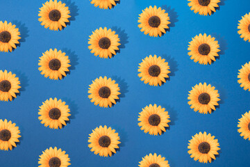 Sunflower on blue background. Pattern.