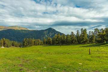 Fototapeta premium Beautiful mountain landscape, forest and clouds