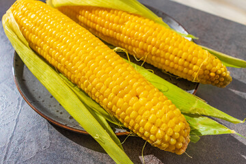 Yellow boiled corn on the cob on a plate
