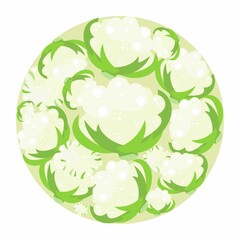 Cauliflower heads in a circle. Vector flat design template. Background of food, farm, gardening or horticulture. - 463547391