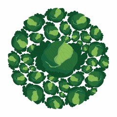 Kale heads in circle. Vector flat design template. Background of food, farm, gardening or  horticulture. - 463547394