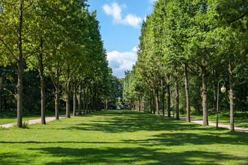 Fototapeta na wymiar Tiergarten Park in Berlin