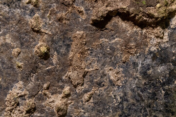 Texture of rocks on the seashore close-up. Natural stone background