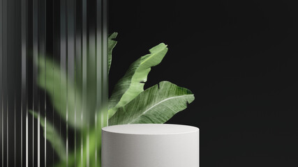 3D render podium, showcase on dark background with green tropical leaves of plants. Abstract natural,organic background for advertising products, spa body care, relaxation, health.	
