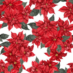 Seamless pattern with watercolor flowers of poinsettia, isolated on white background