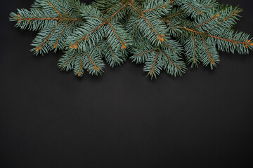 Fir branches border on background, good for christmas backdrop