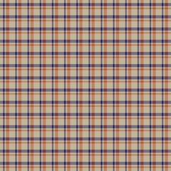 Asymmetric Plaid textured Seamless Pattern