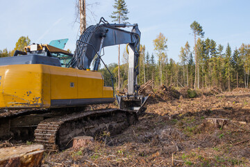 Fototapeta na wymiar A large excavator works in the forest.