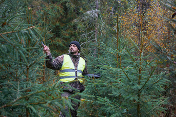 A forest engineer examines young spruce plantings. Forester works in the forest with a computer.
