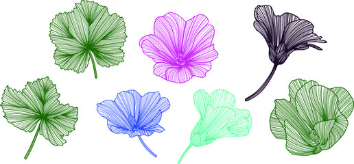 Hand drawn. Abstract color flower. Line art. Isolated sketch. Illustration vector.
