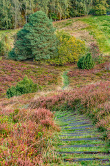 Heath area with a height of 92 meters, and with a beautiful view over the Gudenå valley.