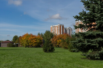 Fototapeta na wymiar Beautiful lawn in a city park in autumn in sunny weather.