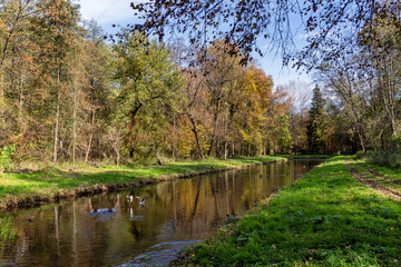 Fototapeta na wymiar Park w zespole pałacowo-parkowym Branickich w Choroszczy, Podlasie, Polska 