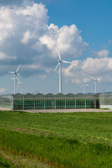 Agriculture in Netherlands, big glass greenhouses used for growing organic vegetables and fruits, Zeeland