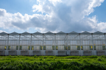 Agriculture in Netherlands, big glass greenhouses used for growing organic vegetables and fruits, Zeeland