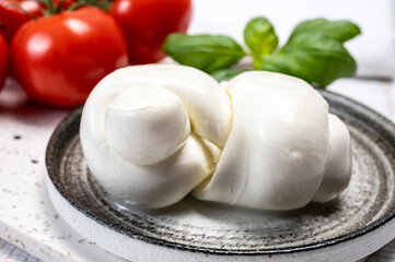 South Italian soft white mozzarella cheese made from buffalo cows milk served with ripe tomatoes and fresh green basil herb