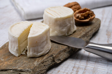 Cheese collection, soft goat French cheese with mold crottin de Chavignol produced in Loire Valley
