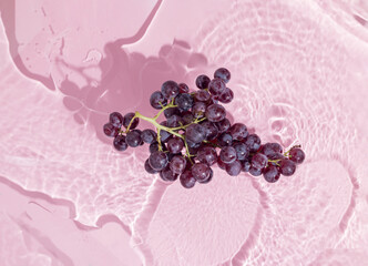 Fresh, juicy cluster of black muscat grapes standing in the water against pastel pink purple background. Washing fruit idea. Natural, healthy, autumn food concept. Minimal flat lay.   © jbuinac