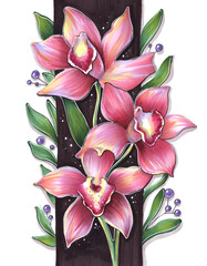 hand markers watercolor botanical illustration floral elements orchids cymbidium pink burgundy closeup