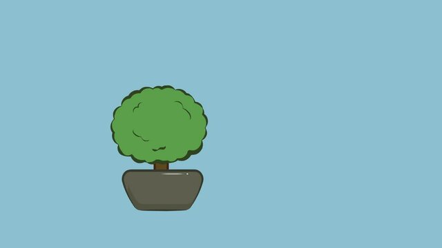 Windy potted green plant in cartoon illustration, video and footage on green blue background