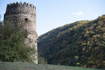 Fototapeta na wymiar Tower of medieval fortress on background of mountain with forest. Historical monuments are carefully preserved and taken under state protection. History and culture are basis of national traditions.