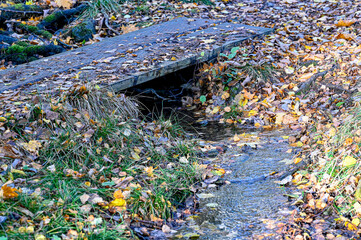 footbridge over small stream in autumn forest