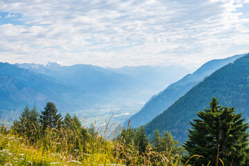 Vue de la vallée du Rhône depuis Saxon sur les hauteurs de la luy en Suisse avec des sapins, et un massif forestier par un jour ensoleillé avec des nuages