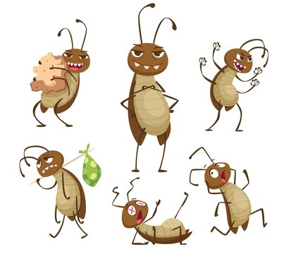 Cockroach poses. Bad hygiene roach insects disgusted animals dirt bugs pest exact vector collection cockroachs characters in cartoon style