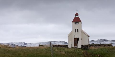 Fototapeta na wymiar Islanda, Arctic fox, vole artica