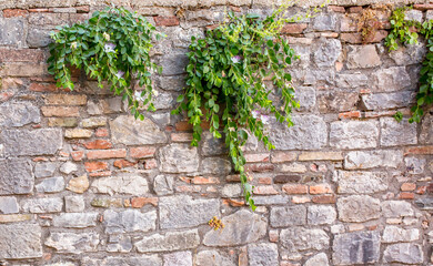 Stone antique old wall as a background or texture. Vintage background of a fortress wall in loft and grunge style with place for text and copy space.