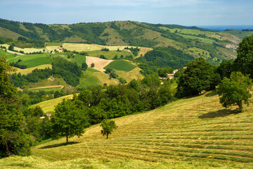 Rural landscape near Riolo and Canossa, Emilia-Romagna.