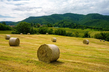 Rural landscape near Riolo and Canossa, Emilia-Romagna.