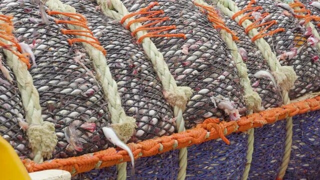 Marine fishing vessel. Close-up. Removal of a trawl with a large catch of sea fish. A net filled with fish.