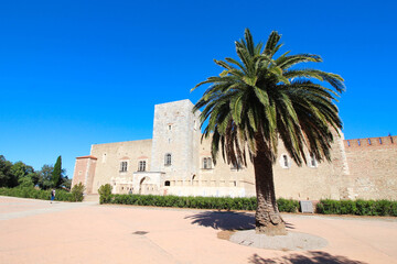 Palais des rois de Majorque à Perpignan, France	