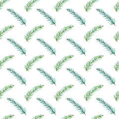 Watercolor seamless pattern of green pine on white background. Watercolour Christmas